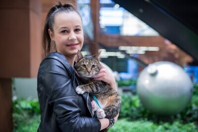 10 lat programu pomocy bezdomnym kotom w Gdańsku