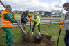 Akcja sadzenia drzew w alei Macieja Płażyńskiego w Gdańsku Letnicy