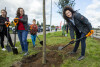 Akcja sadzenia drzew w alei Macieja Płażyńskiego w Gdańsku Letnicy