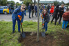 Akcja sadzenia drzew w alei Macieja Płażyńskiego w Gdańsku Letnicy