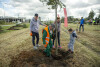 Akcja sadzenia drzew w alei Macieja Płażyńskiego w Gdańsku Letnicy