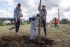 Akcja sadzenia drzew w alei Macieja Płażyńskiego w Gdańsku Letnicy