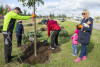 Akcja sadzenia drzew w alei Macieja Płażyńskiego w Gdańsku Letnicy