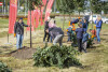 Akcja sadzenia drzew w alei Macieja Płażyńskiego w Gdańsku Letnicy