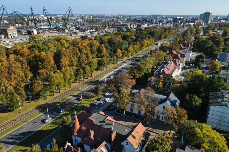 Zdjęcie Aleja Zwyciestwa w jesiennej odsłonie 4