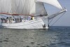 Baltic Sail 2014