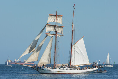 Baltic Sail Gdańsk 2024 – parada żaglowców