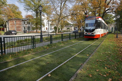 Budżet  Obywatelski 2022 – projekt „Zielone torowisko tramwajowe
