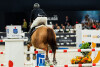 Cavaliada Sopot 2024