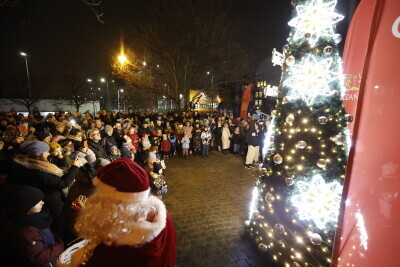 Choinka dzielnicowa- Stogi