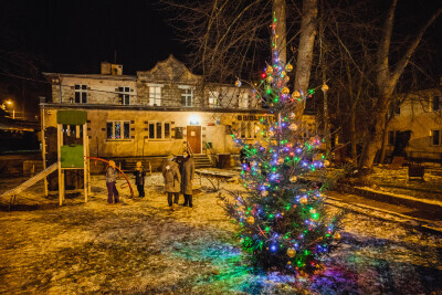 Choinka dzielnicowa - Wyspa Sobieszewska