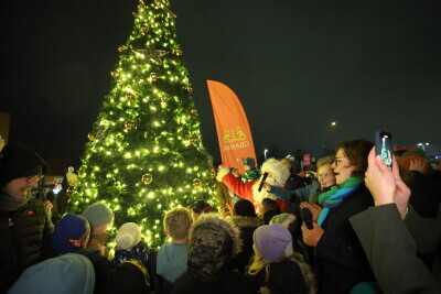 Choinka dzielnicowa na Letnicy