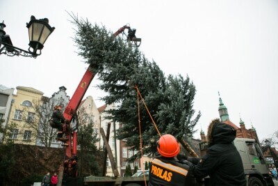 Choinka na Targu Węglowym