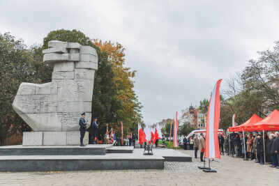 Czyn Bojowy Polskich Sił Zbrojnych Na Froncie Wschodnim