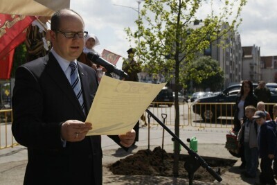 Dąb w rocznicę samorządu