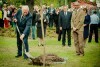 Dąb wolności zasadzony