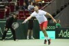 Davis Cup. Michał Przysiężny - Leonardo Mayer