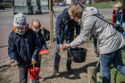 Dosiewanie kwiatów na łące w Parku Nadmorskim