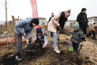 Drugi Miejski Mikrolas w Gdańsku na Jasieniu