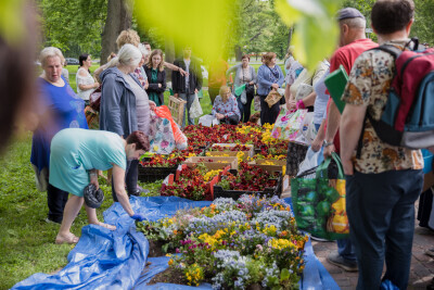 Drugie życie bratków