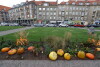 Dynie na pl. Kobzdeja