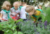 Dzieci posadziły zioła