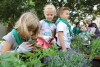 Dzieci posadziły zioła