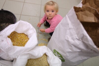 Dzień Warzyw i Owoców w gdańskim ogrodzie zoologicznym