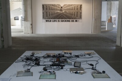 Festiwal Alternativa 2013