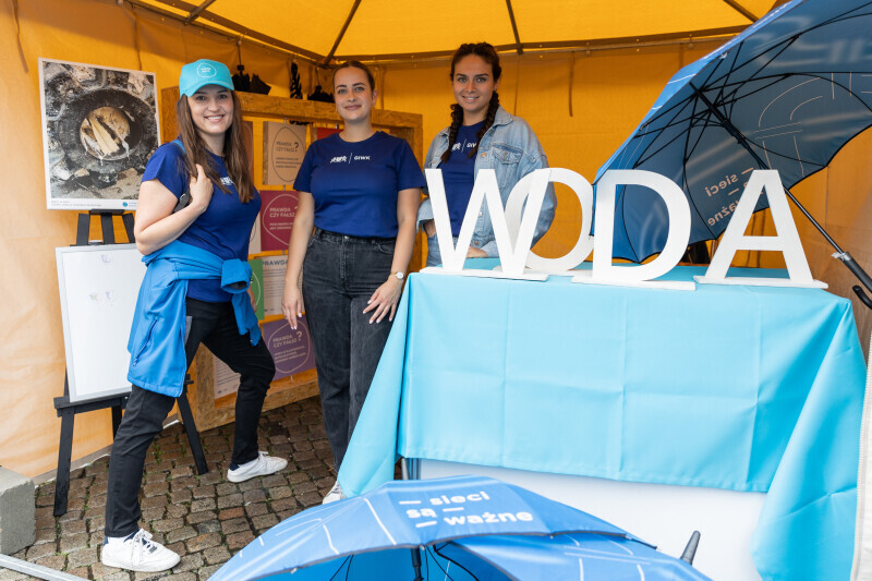 Zdjęcie Festiwal Czyste Miasto Gdańsk 2024 1