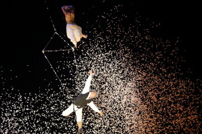 Feta-Cie Deus Ex Machina „Galileo”