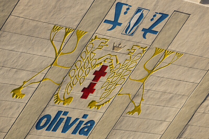 Zdjęcie Hala Olivia 12