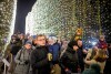 Iluminacje w Parku Oliwskim