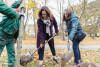 Jesienne nasadzenia z Gdańską Kartą dla Drzew