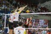 LOTOS Trefl Gdańsk z Pucharem Polski