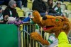 Lechia Gdańsk - Pogoń Szczecin