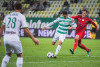 Lechia Gdańsk - Zagłębie Sosnowiec 4:1