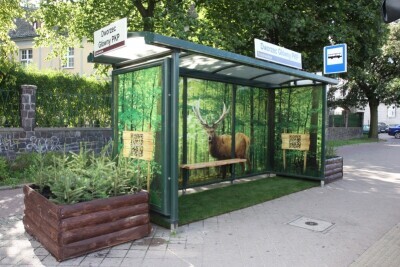 Leśny zagajnik w centrum Gdańska zaprasza do gdańskich lasów!