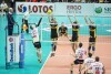 Lotos Trefl - DHL Modena