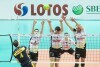 Lotos Trefl - DHL Modena