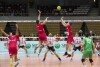 Lotos Trefl - Vojvodina Nowy Sad