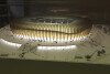 Makieta stadionu
