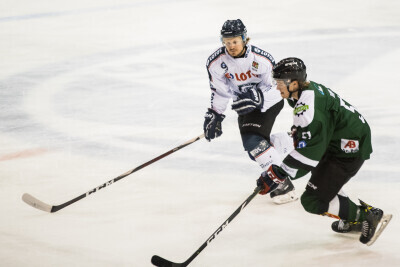 Mecz hokeja Lotos PKH Gdańsk - Naprzód Janów