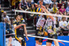 Mecz siatkówki Lotos Trefl Gdańsk - PGE Skra Bełchatów