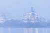 Mgła w Porcie Gdańsk