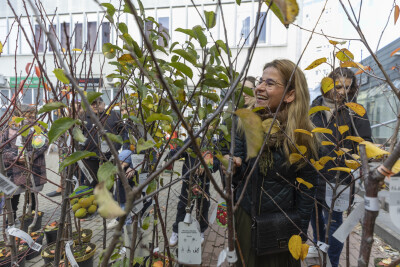 Mieszkańcy Suchanina odebrali sadzonki drzew