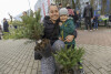 Mieszkańcy Suchanina odebrali sadzonki drzew