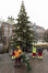 Montaż choinki na Długim Targu