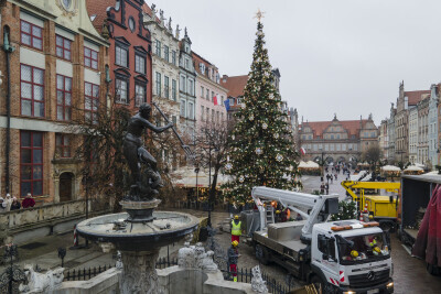 Świąteczna choinka już stoi na Długim Targu