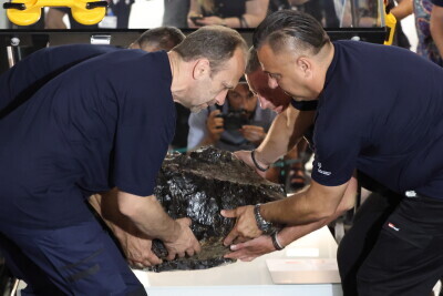 Muzeum Bursztynu. Bicie rekordu Guinnessa-ważenie bryły bursztynu.